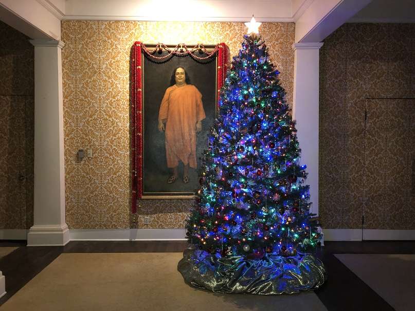 Рождественская елка пазл онлайн из фото