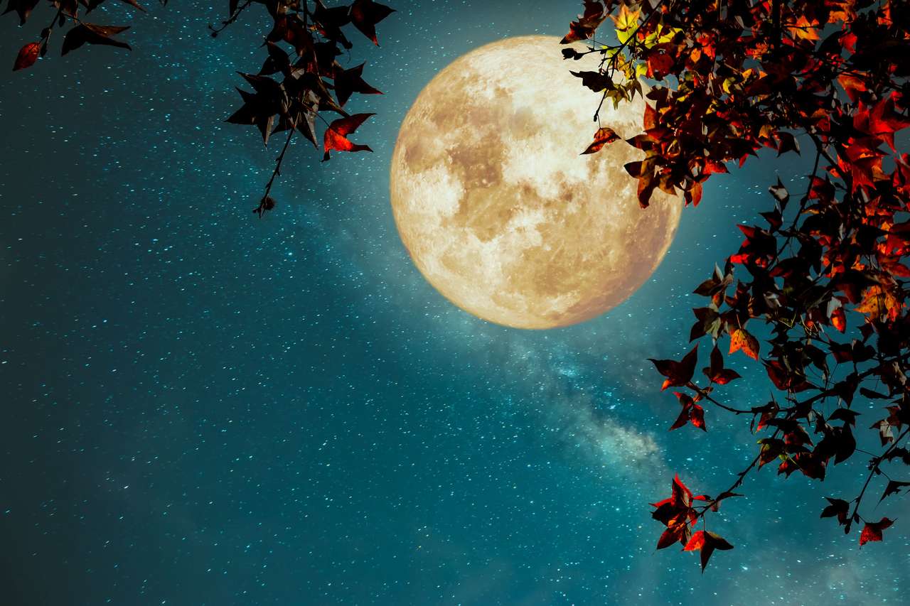 Autumnal moon puzzle online from photo