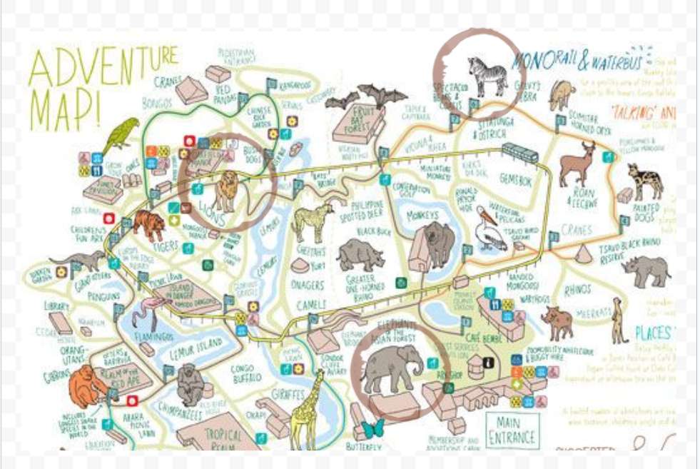 Mapa zoo puzzle online z fotografie