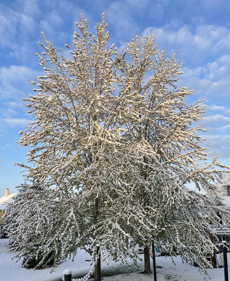Zimní strom online puzzle