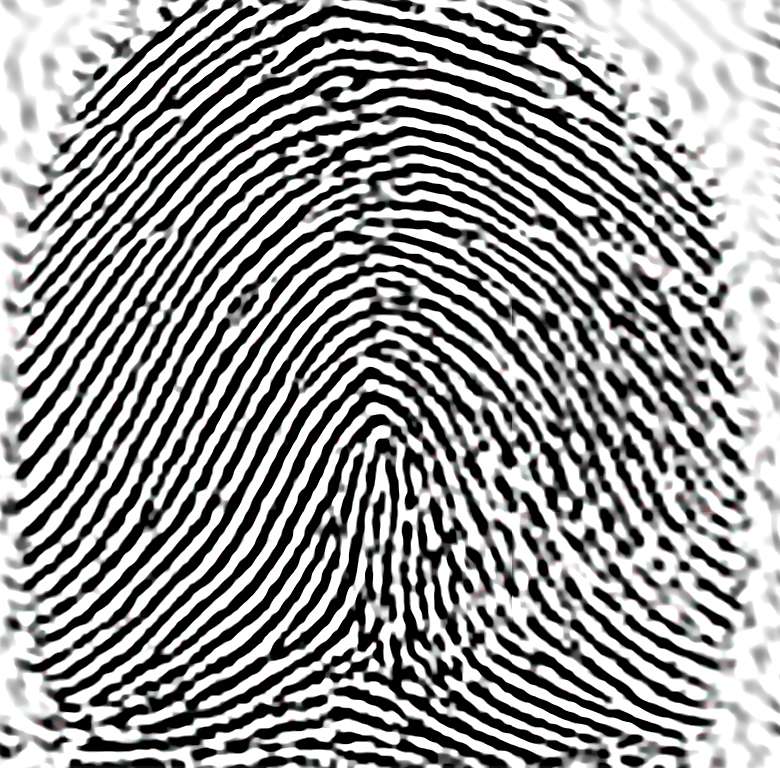 Fingerprint puzzle puzzle online from photo