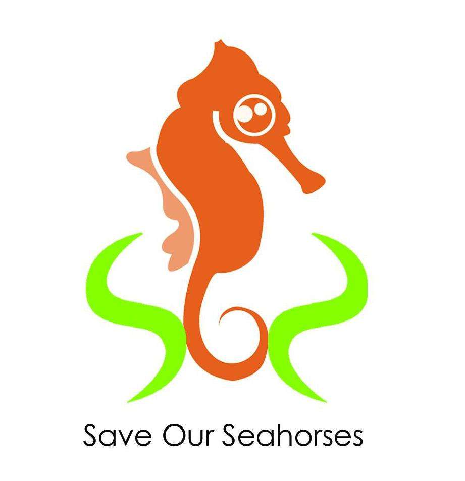 Red onze zeepaardjes puzzel online van foto