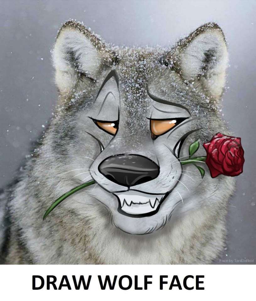 Wolf with a rose puzzle online from photo