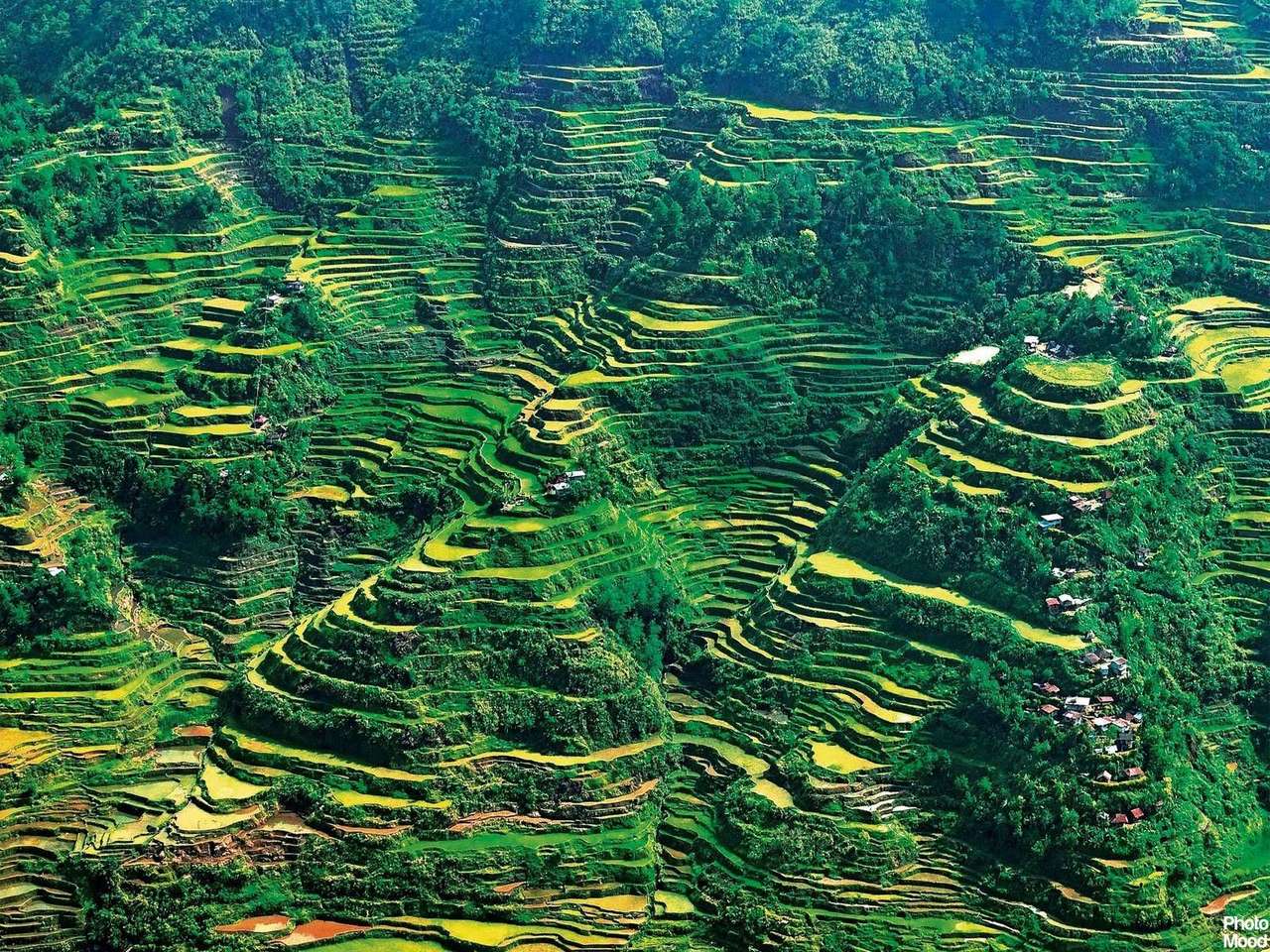 Rizières en terrasses de Banaue aux Philippines puzzle en ligne à partir d'une photo