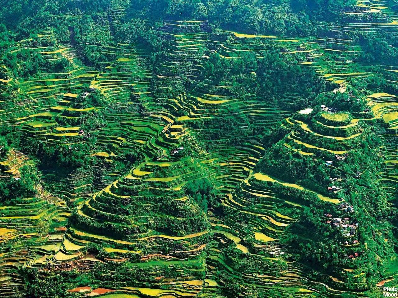 Banaue risterrasser i Filippinerna pussel online från foto