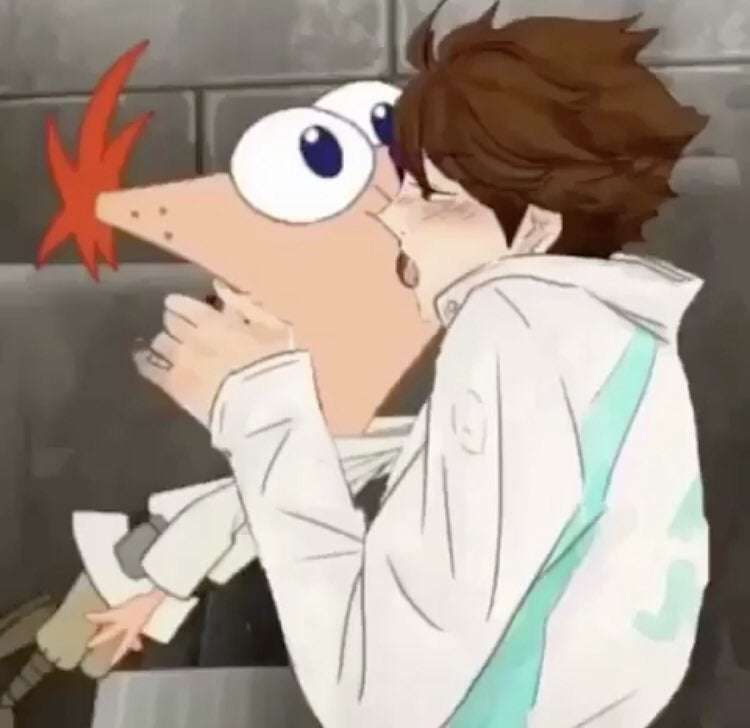 Phineas X Oikawa. online puzzle