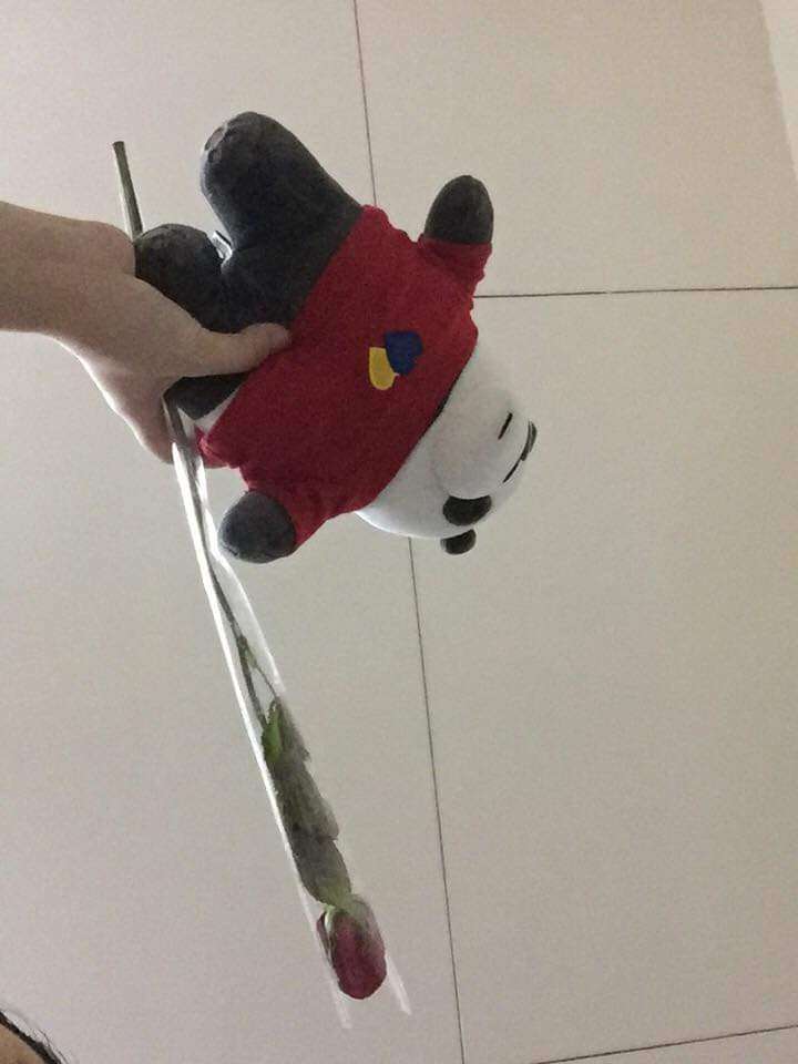Panda uppstoppad leksak pussel online från foto