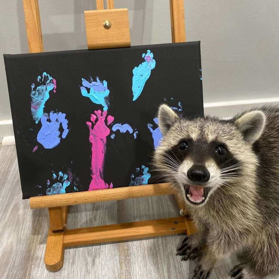 raccoon amuzant drăguț dragoste vopsea puzzle online