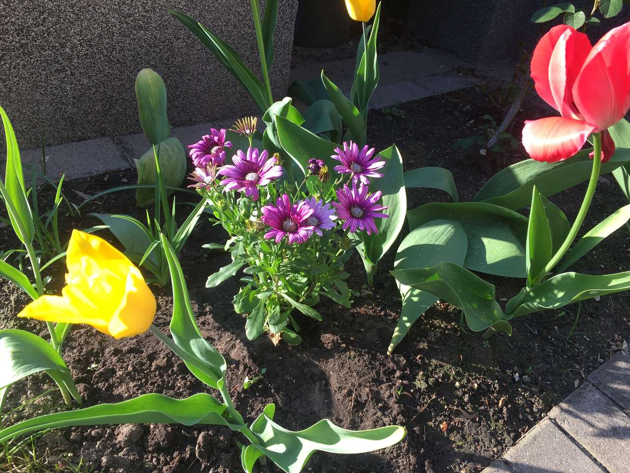 Våren här och nu pussel online från foto