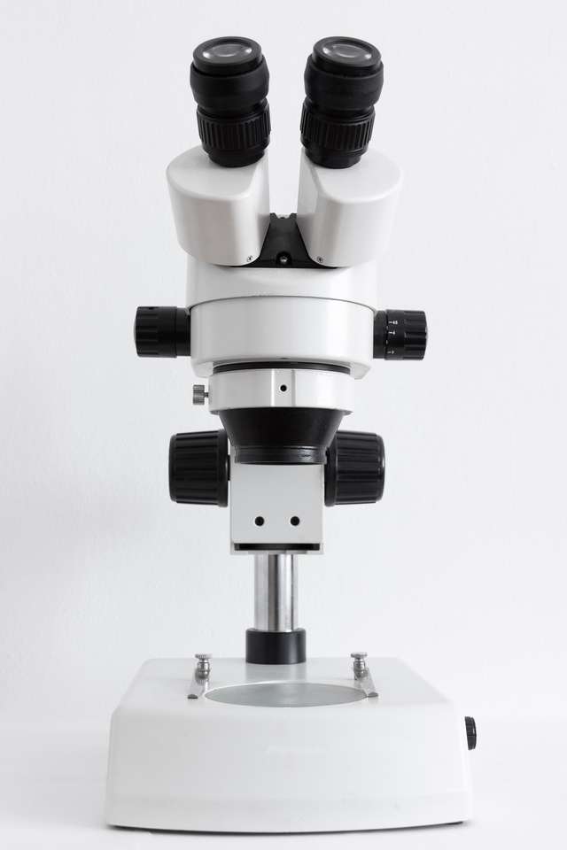 Složený mikroskop online puzzle
