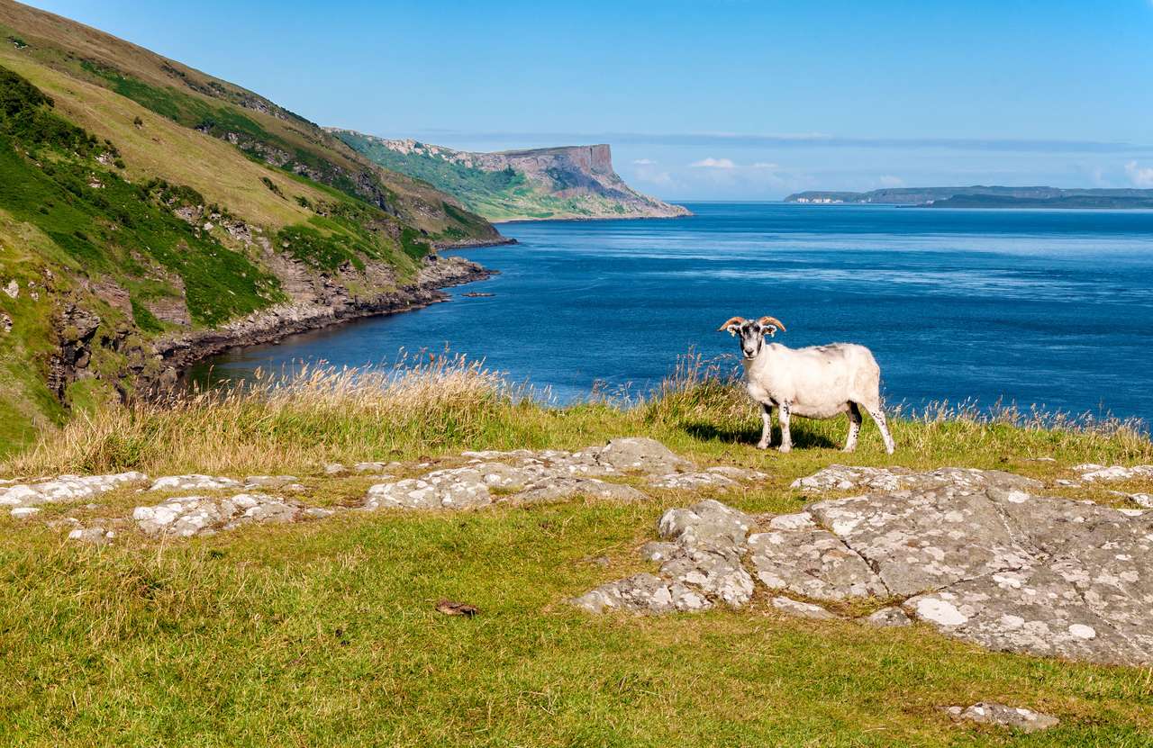 Ram on cliffs puzzle online from photo