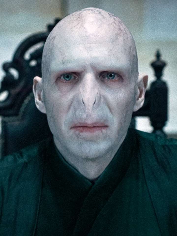 Pussel - Voldemort Pussel online