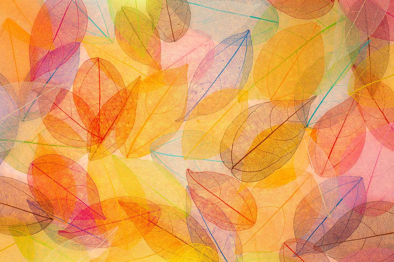 Herfstbladeren puzzel online van foto