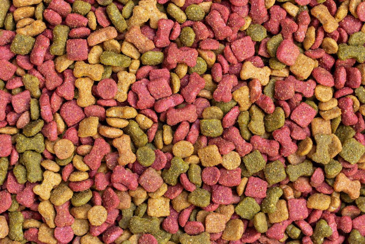 Mosaico de comida de cachorro. puzzle online a partir de fotografia