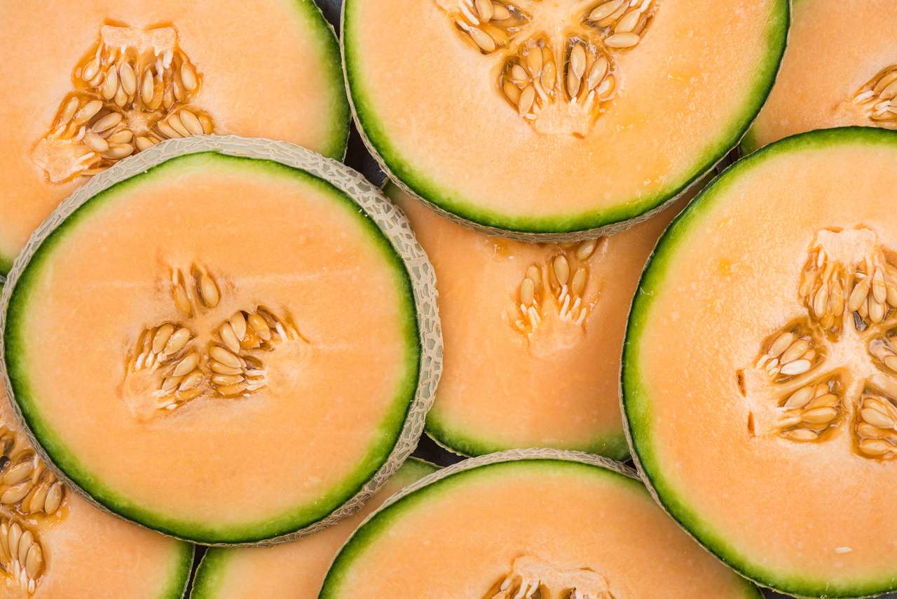 Cantaloupe Melone Online-Puzzle
