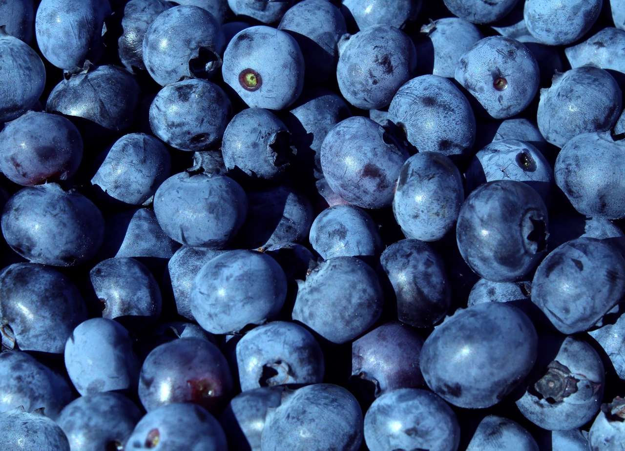 Healthy blueberries puzzle online from photo