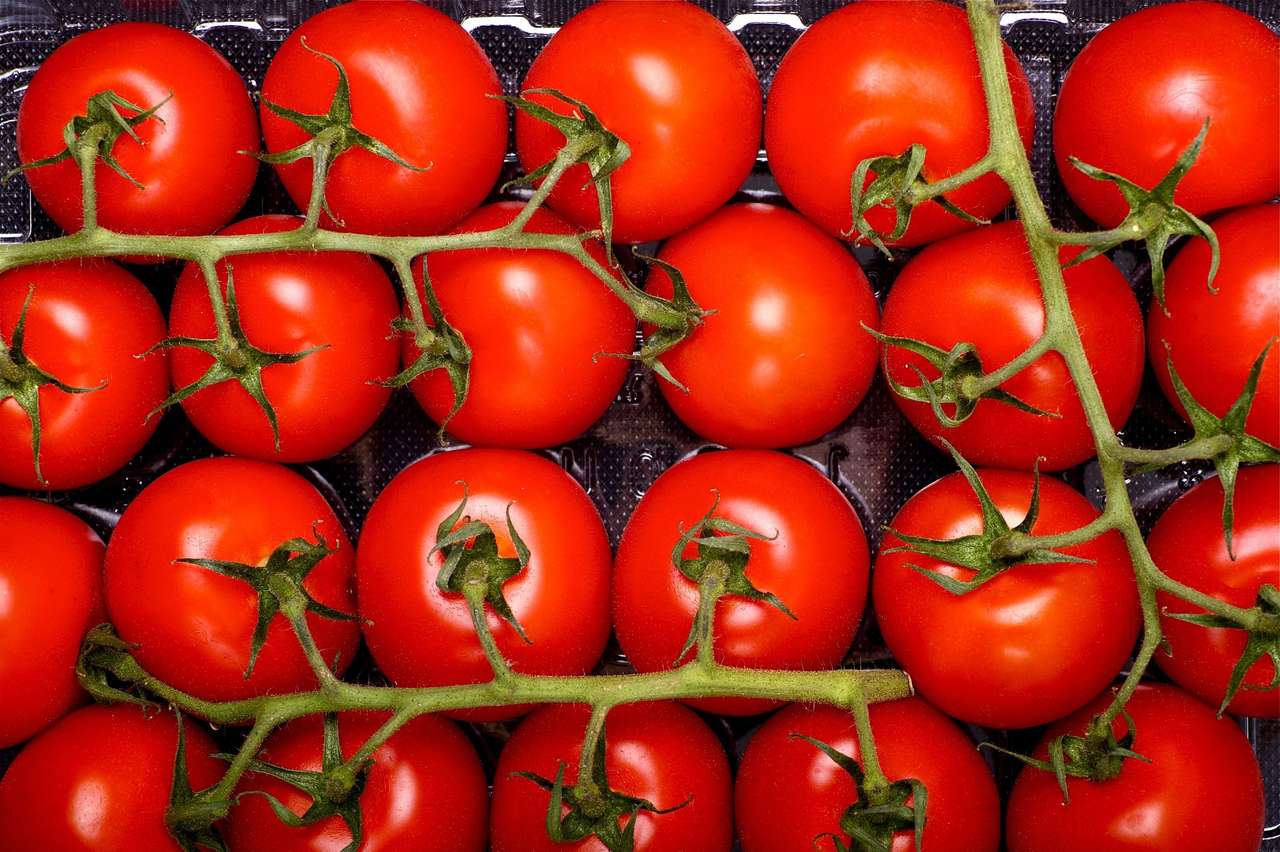 Saftiga tomater Pussel online