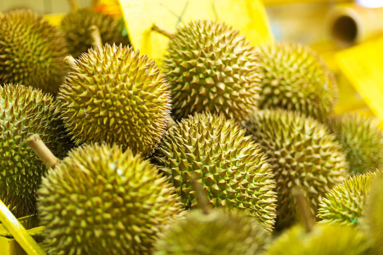 Stinkende durian fruit puzzel online van foto