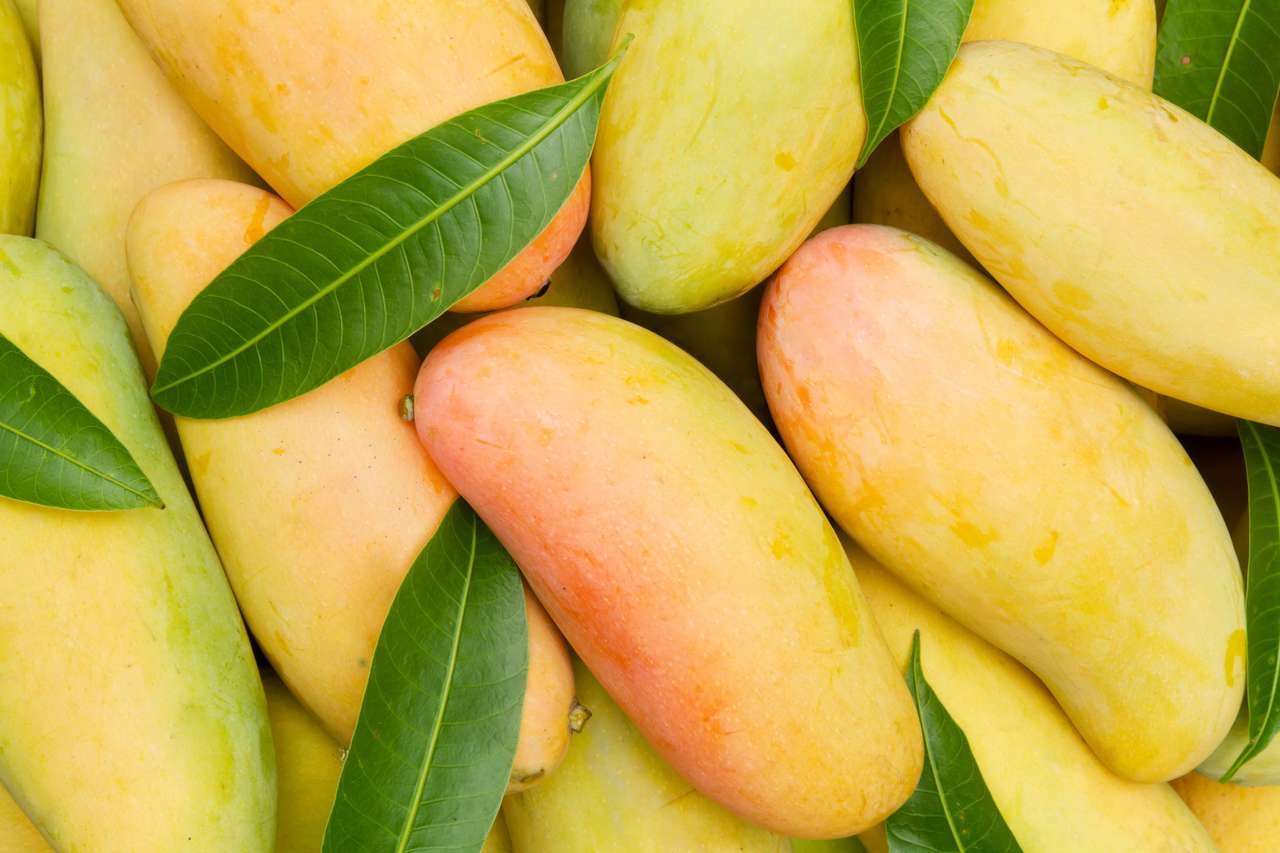 Zralé mangoes. online puzzle