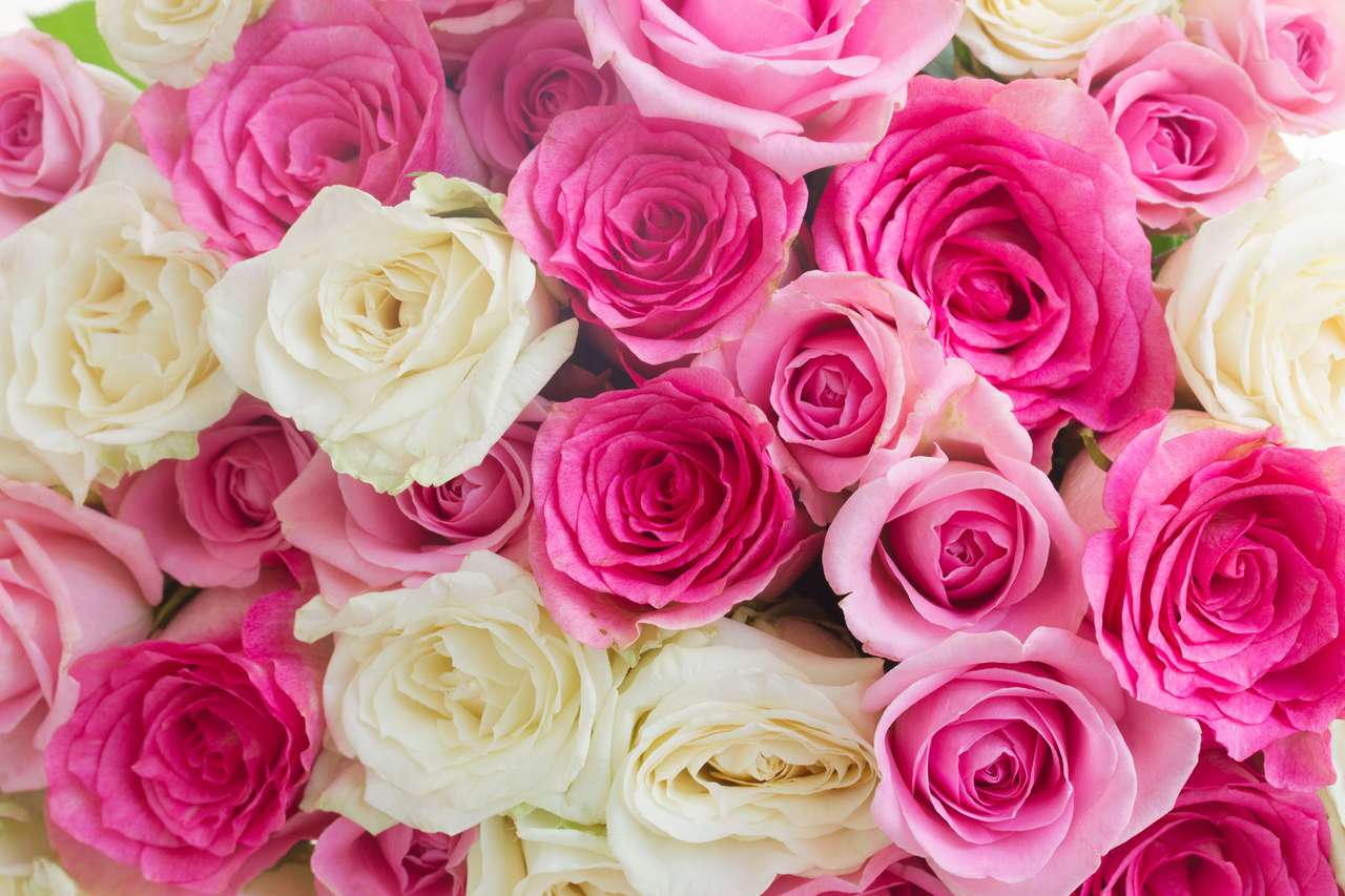 Roze en witte rozen puzzel online van foto