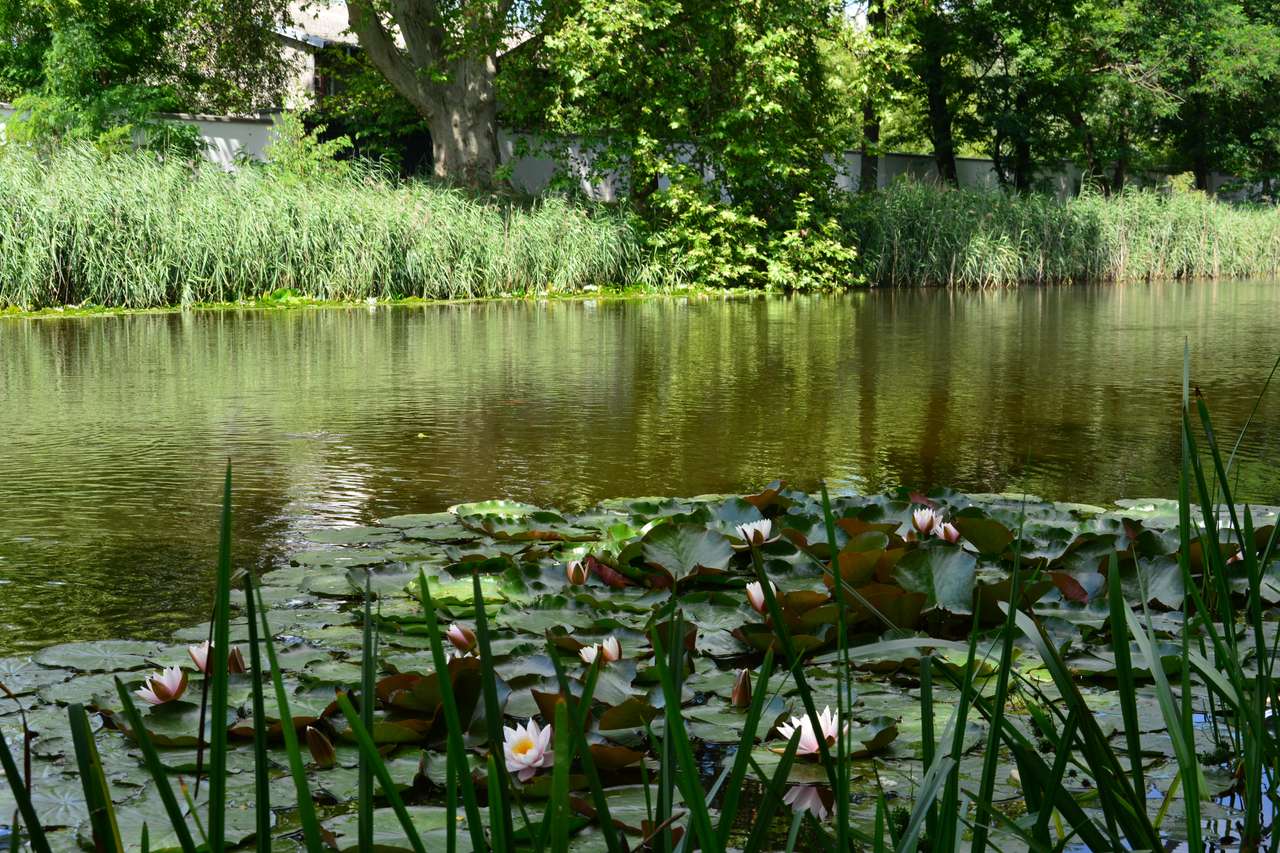 Езера в парка Sannicki онлайн пъзел