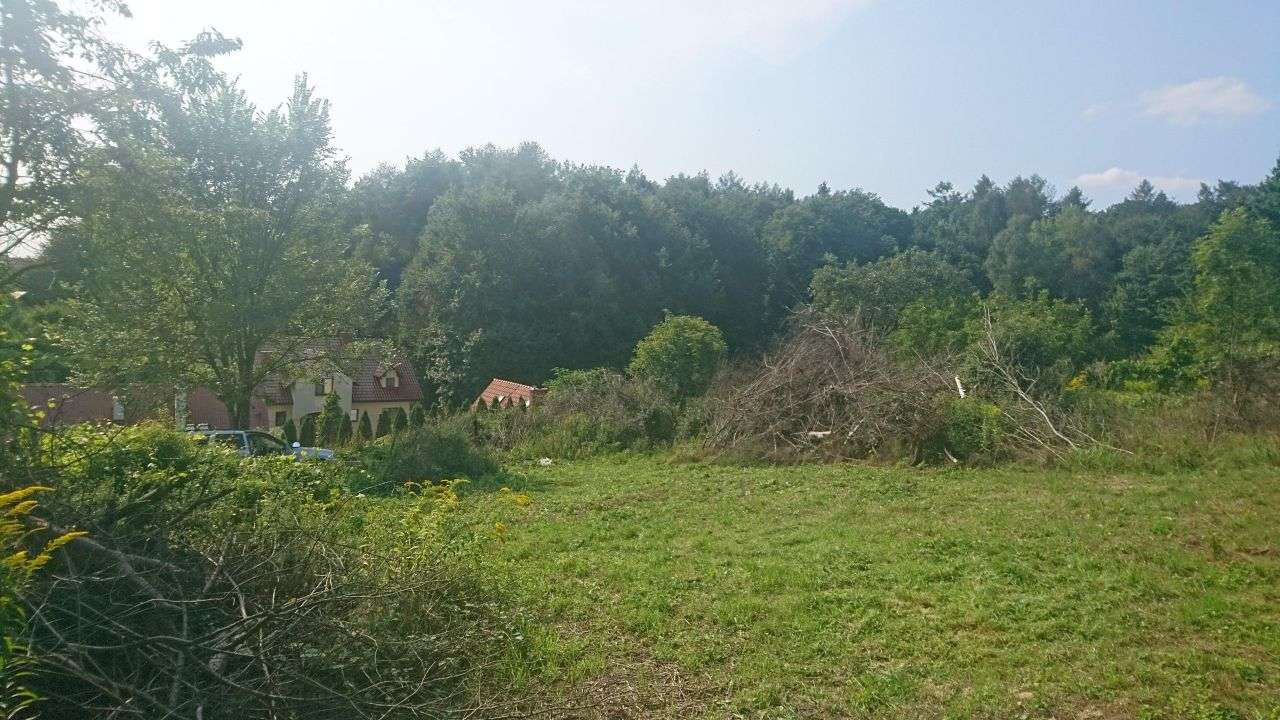 Gräset i Rząska pussel online från foto