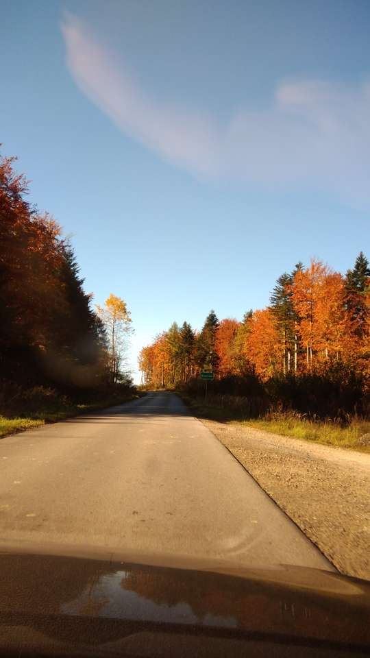 Δρόμος στα βουνά Bieszczady παζλ online από φωτογραφία