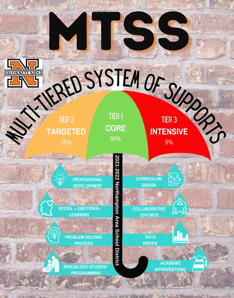 NASD MTSS puzzle online from photo