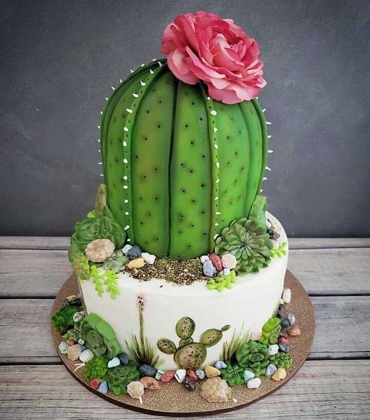 Gâteau de cactus puzzle en ligne à partir d'une photo
