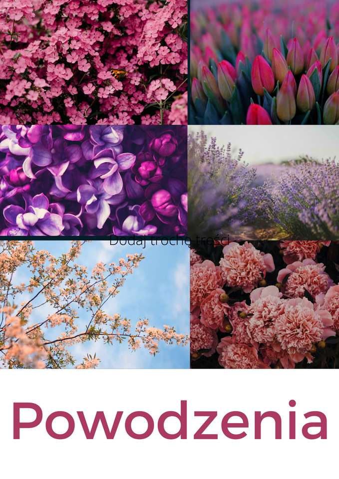 Flori pe luncă puzzle online din fotografie