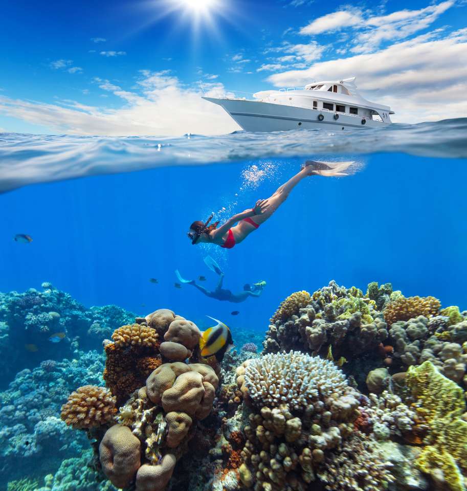 Diver floating at coral reef puzzle online from photo