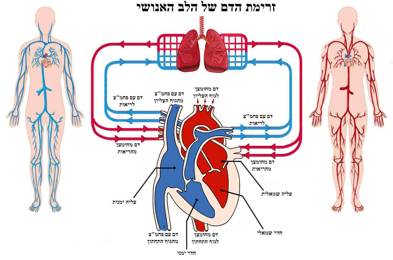 HELLO MY HEART puzzle online from photo