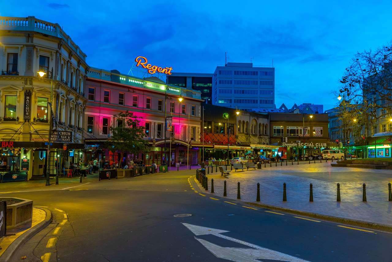 Dunedin, Nya Zeeland pussel online från foto