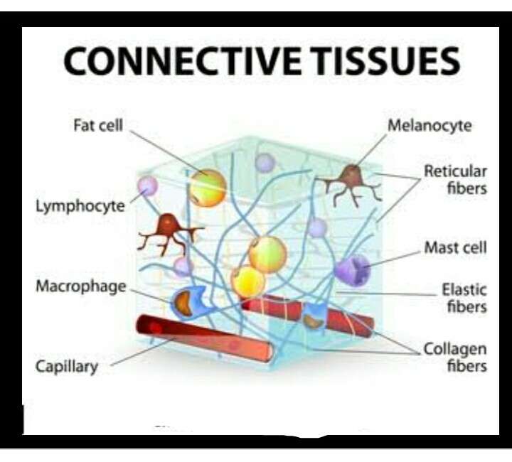 Vävnadspussel pussel online från foto