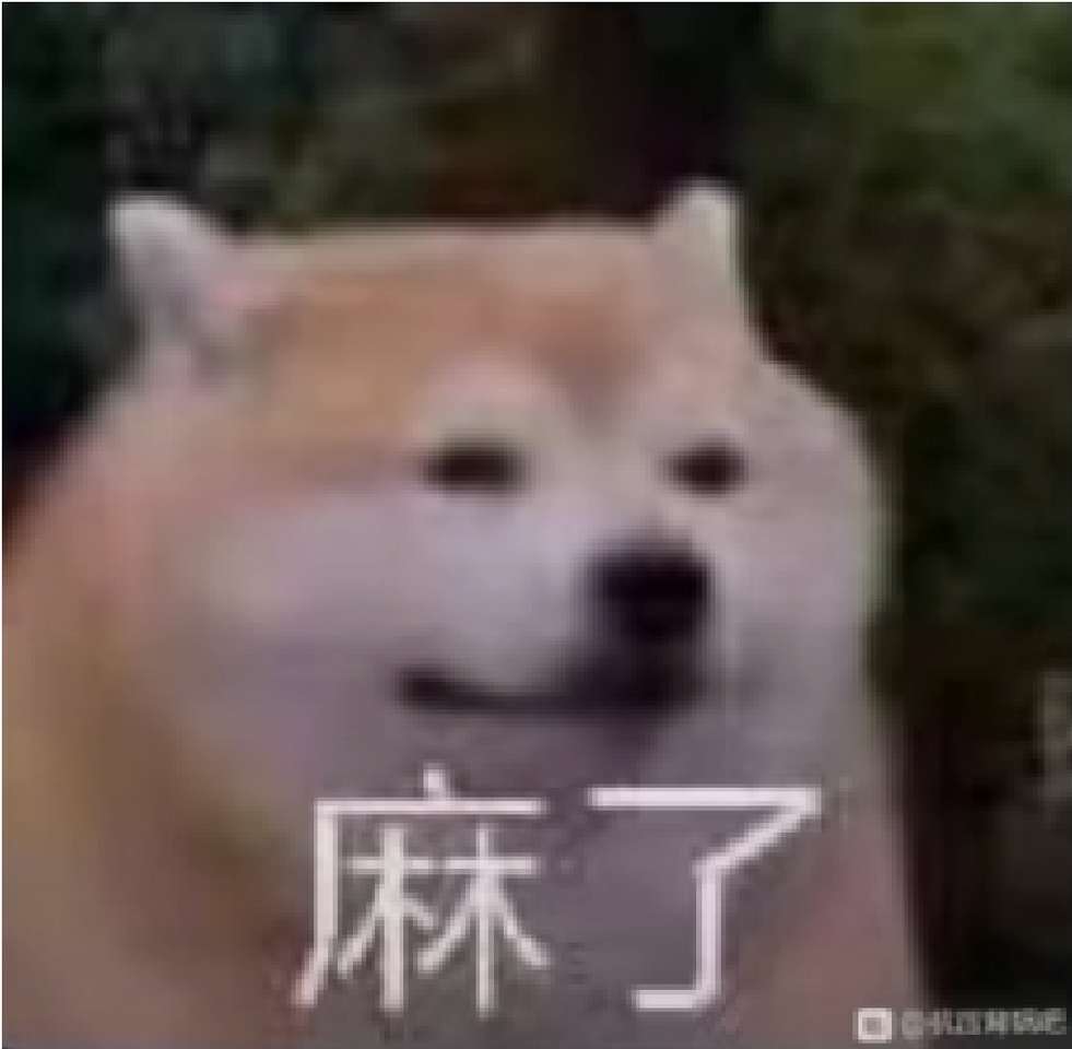 Kinesiska Doge. pussel online från foto