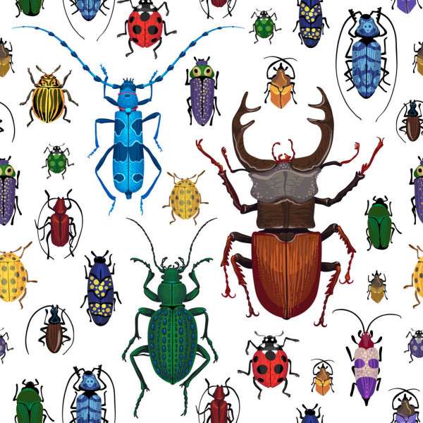 insetos de bugs puzzle online a partir de fotografia