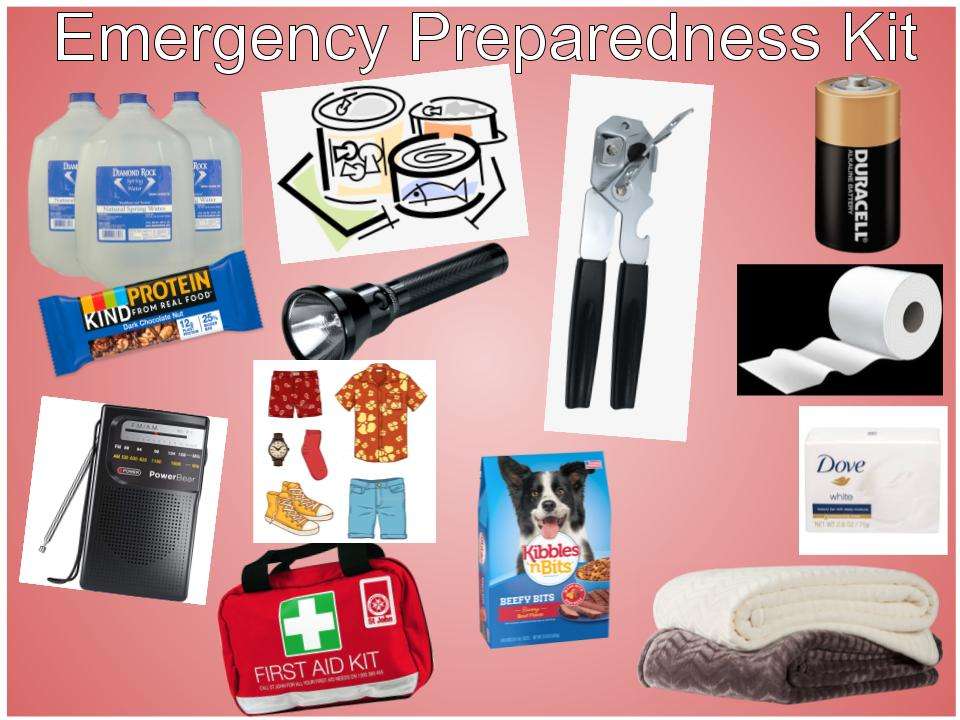 Kit de preparación para emergencias puzzle online a partir de foto