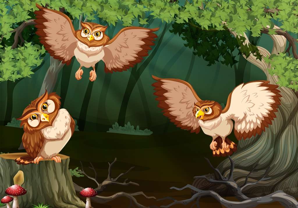 Owls az erdőben online puzzle