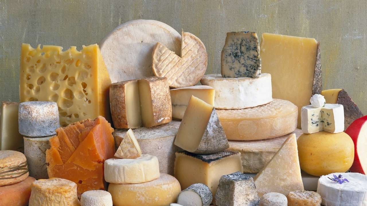 Amante de queso puzzle online a partir de foto