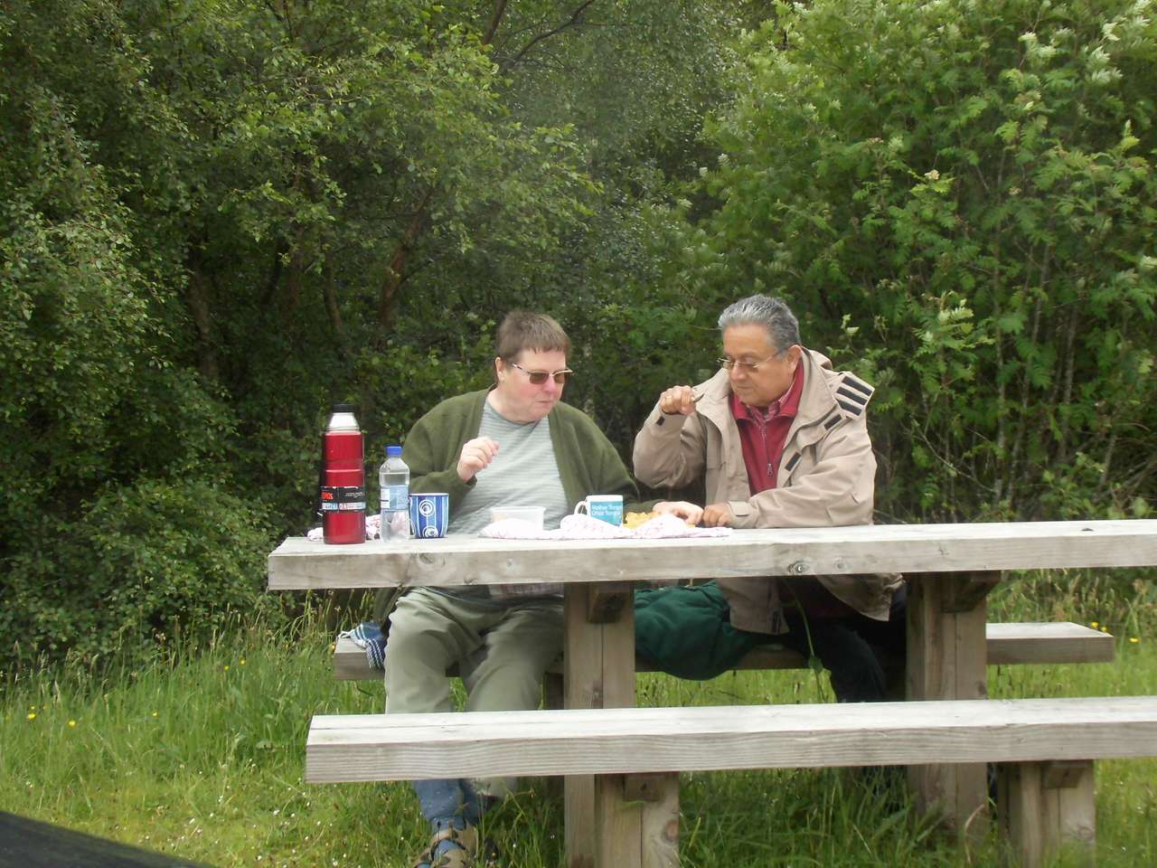 Пікнік у Шотландії скласти пазл онлайн з фото