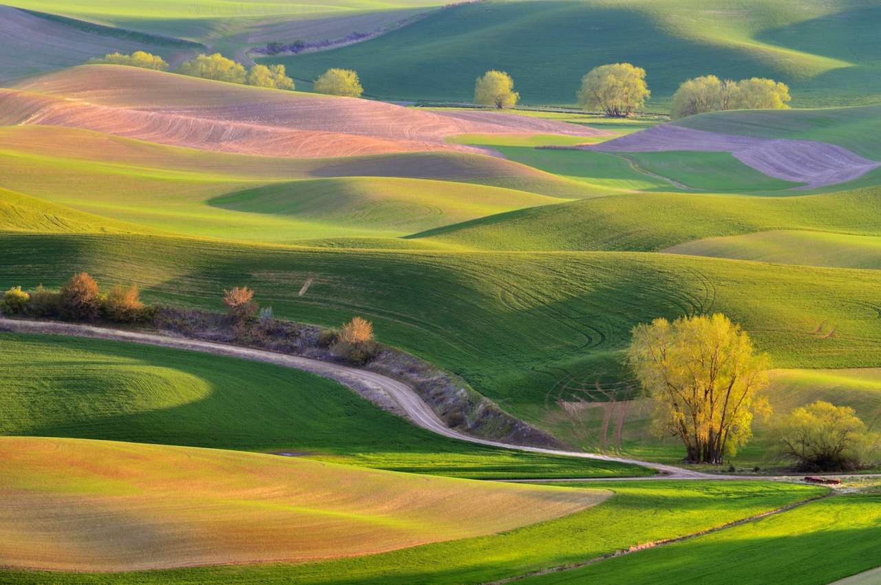 Ackerland in Palouse. Online-Puzzle vom Foto