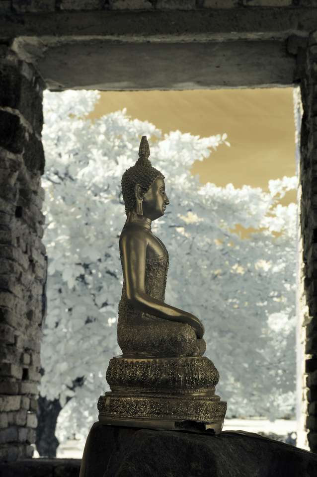Buddha la Parcul Istoric Ayutthaya puzzle online din fotografie