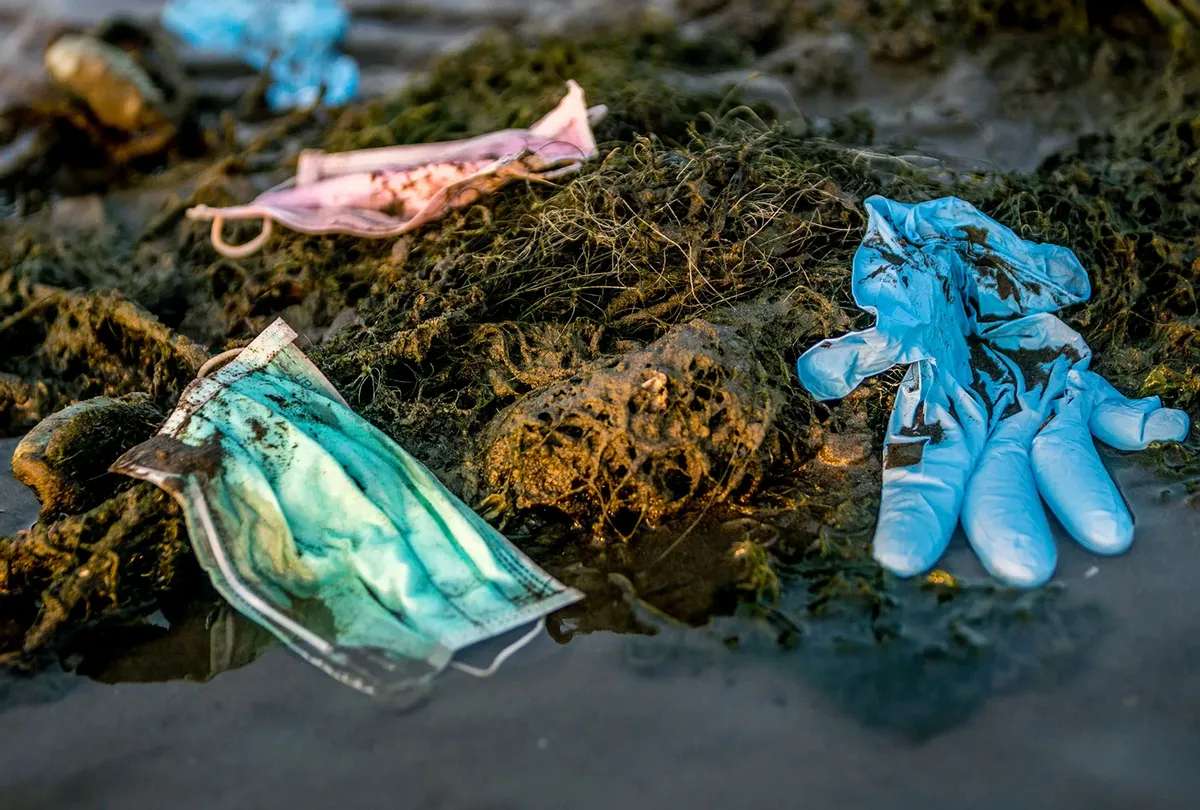 Ρύπανση της θάλασσας online παζλ