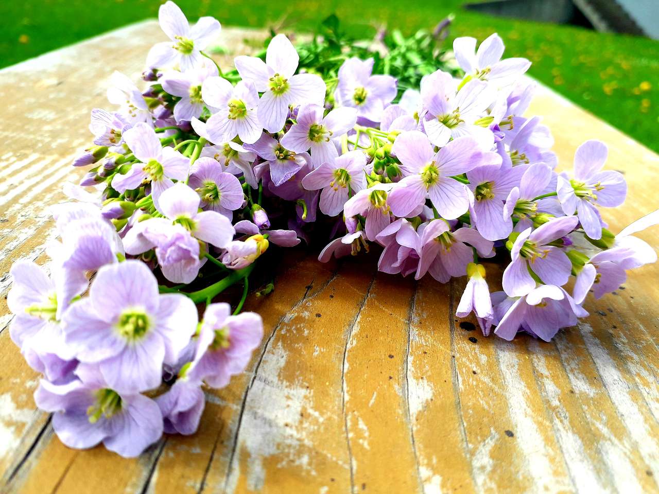 Purple flowers puzzle online from photo