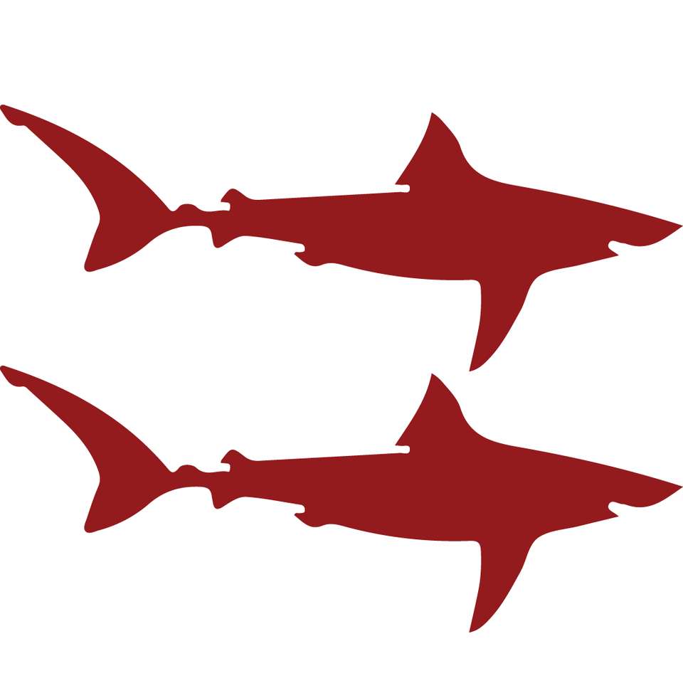 Сувенірний коледж акул онлайн пазл