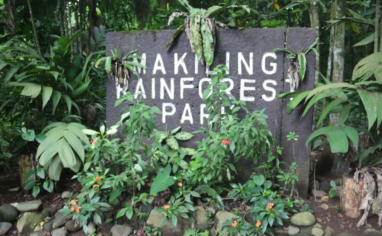 Parc de pădure din Makiling puzzle online din fotografie