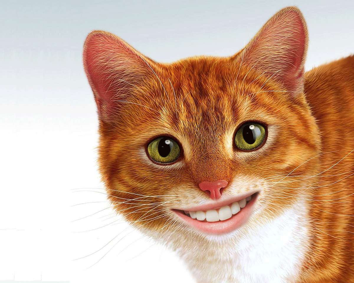 Smiley Cat! puzzle online din fotografie