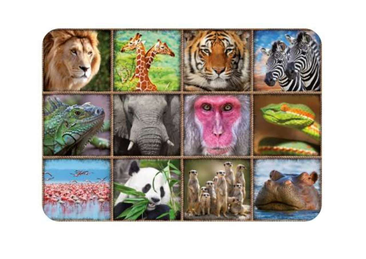 Collage de animale puzzle online din fotografie
