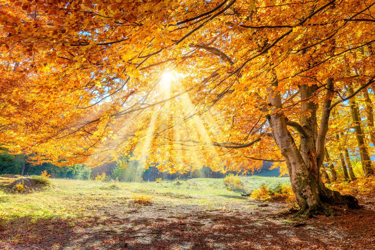 Фантастичен есенния пейзаж онлайн пъзел