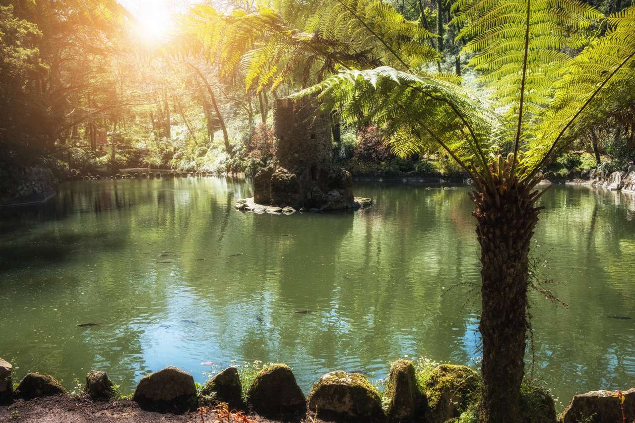 Tropisk trädgård pussel online från foto
